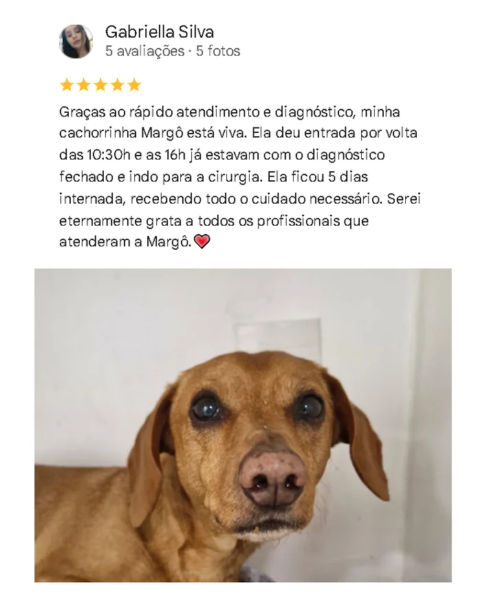 Avaliação de cliente no Google sobre o Amizade
