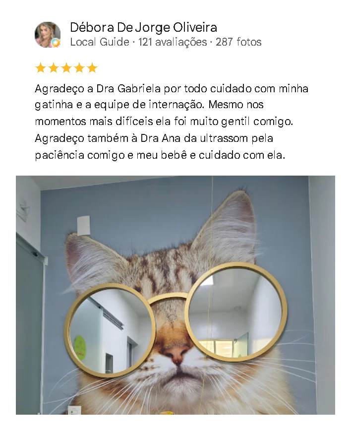 Avaliação de cliente no Google sobre o Amizade