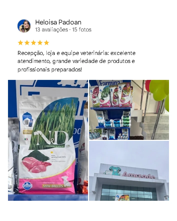 Avaliação de cliente no Google sobre o Amizade