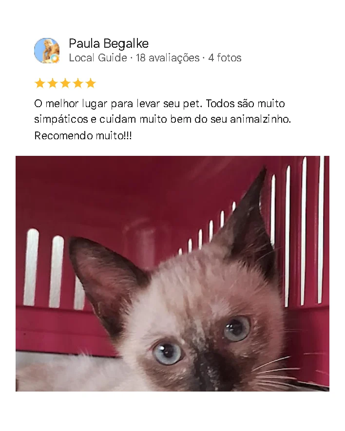 Avaliação de cliente no Google sobre o Amizade